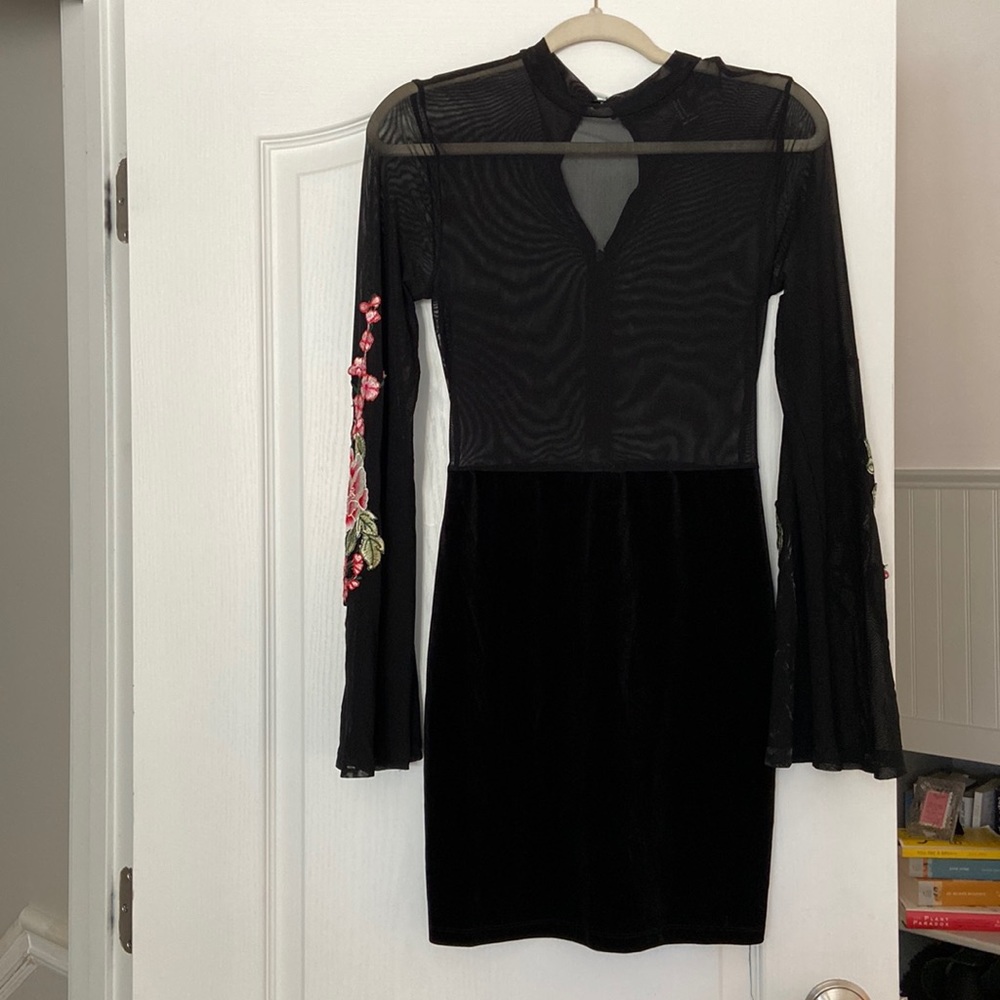 Velvet, sheer,  long sleeve dress